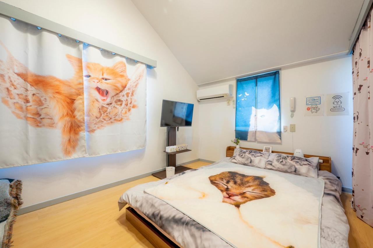 Shibuya Shinjyuku Cat House ! * Tóquio