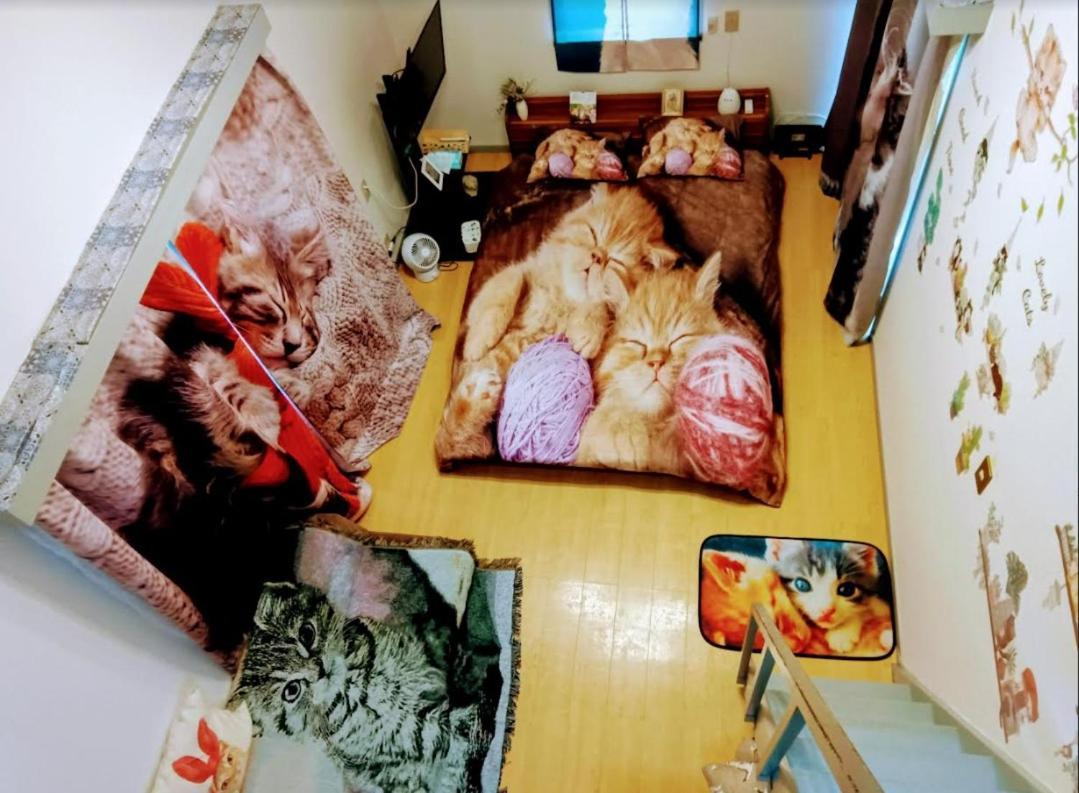 Shibuya Shinjyuku Cat House ! Tóquio