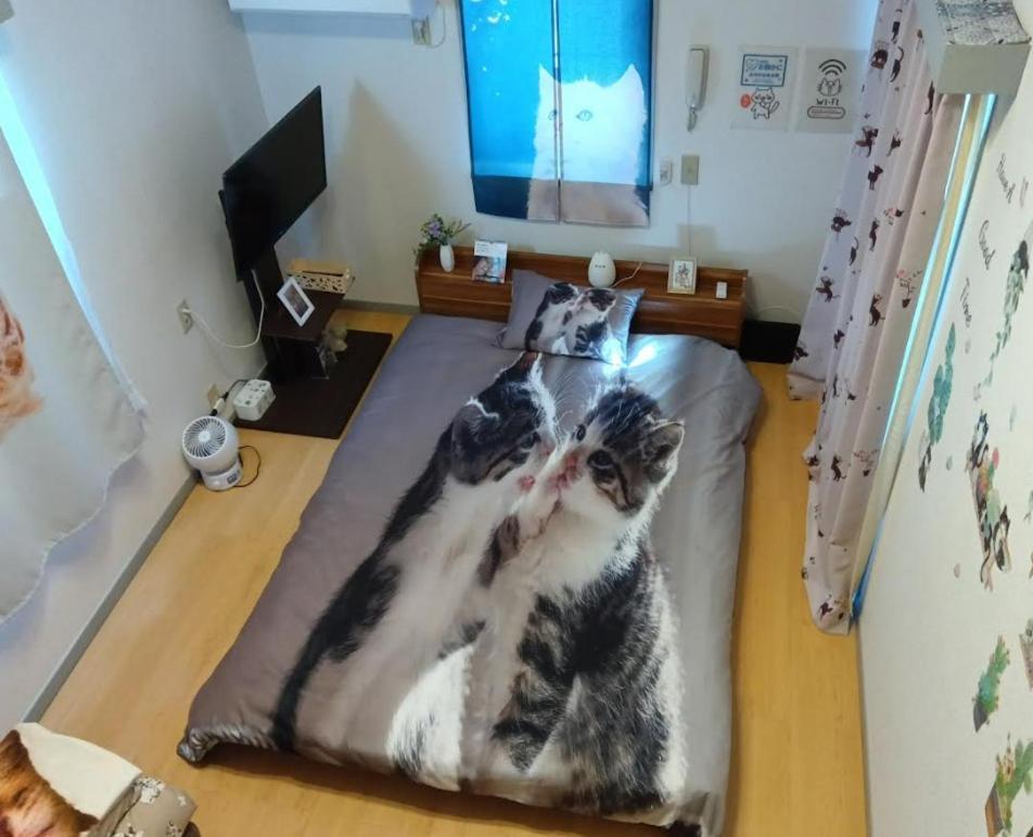 Apartamento Shibuya Shinjyuku Cat House ! Tóquio