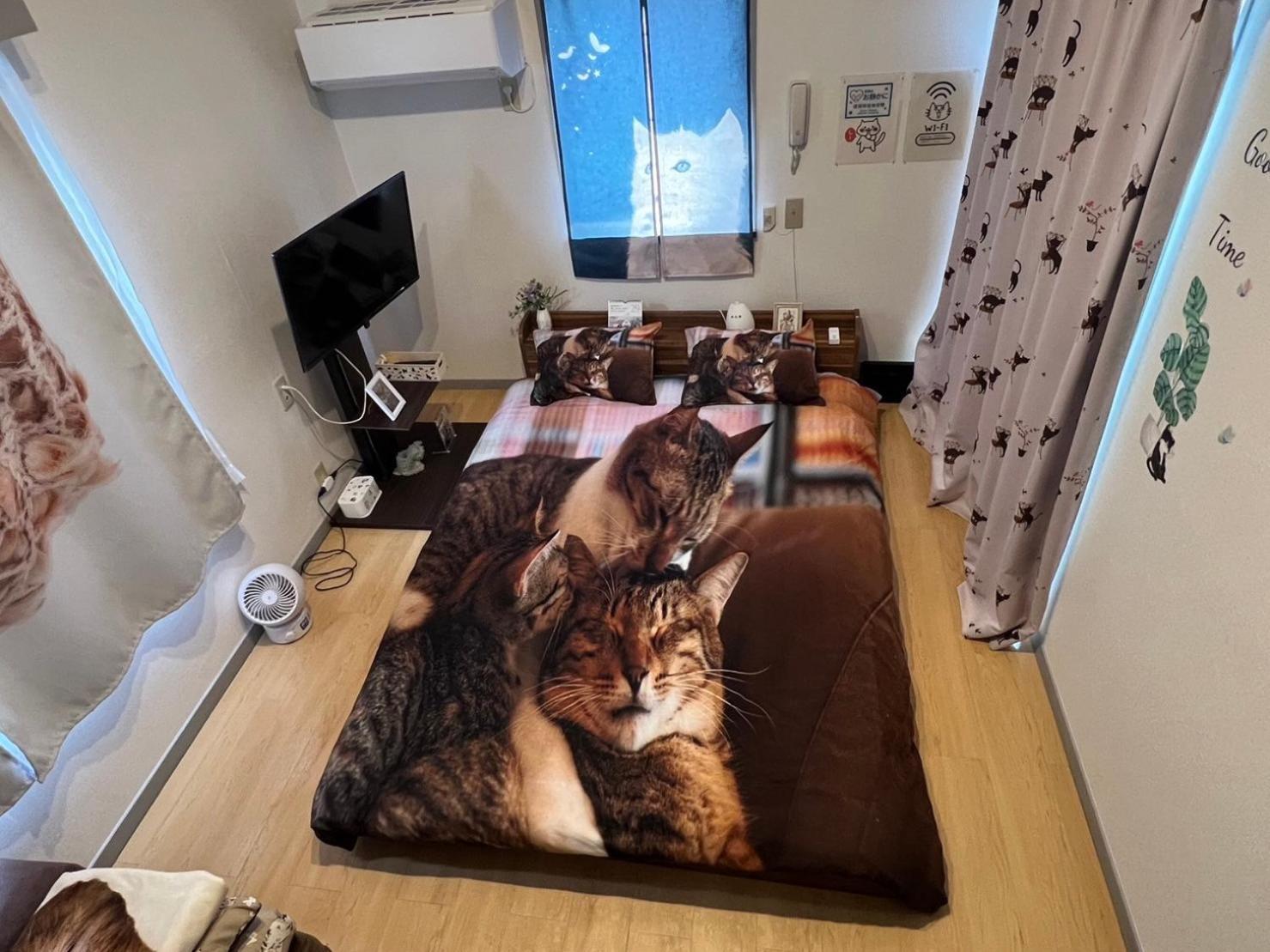 Shibuya Shinjyuku Cat House ! Apartamento Tóquio