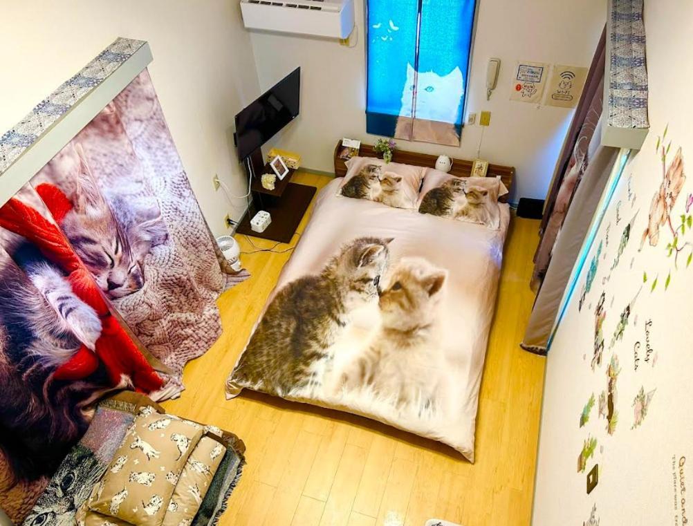 Apartamento Shibuya Shinjyuku Cat House ! Tóquio